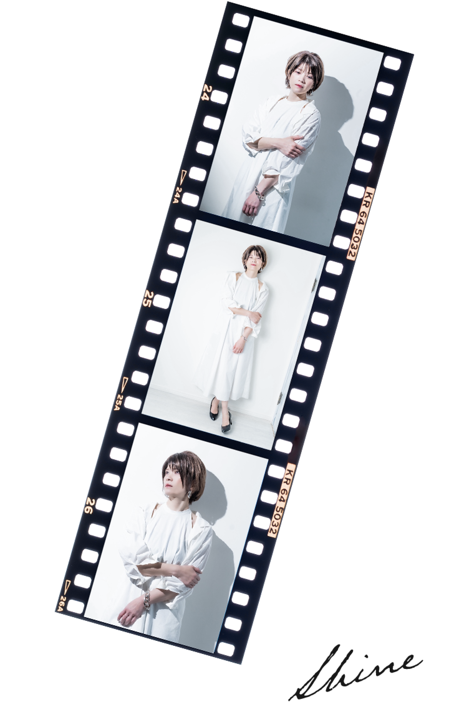フィルム写真